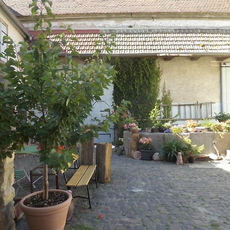 Gaestezimmer Mittelgasse Florsheim-Dalsheim エクステリア 写真