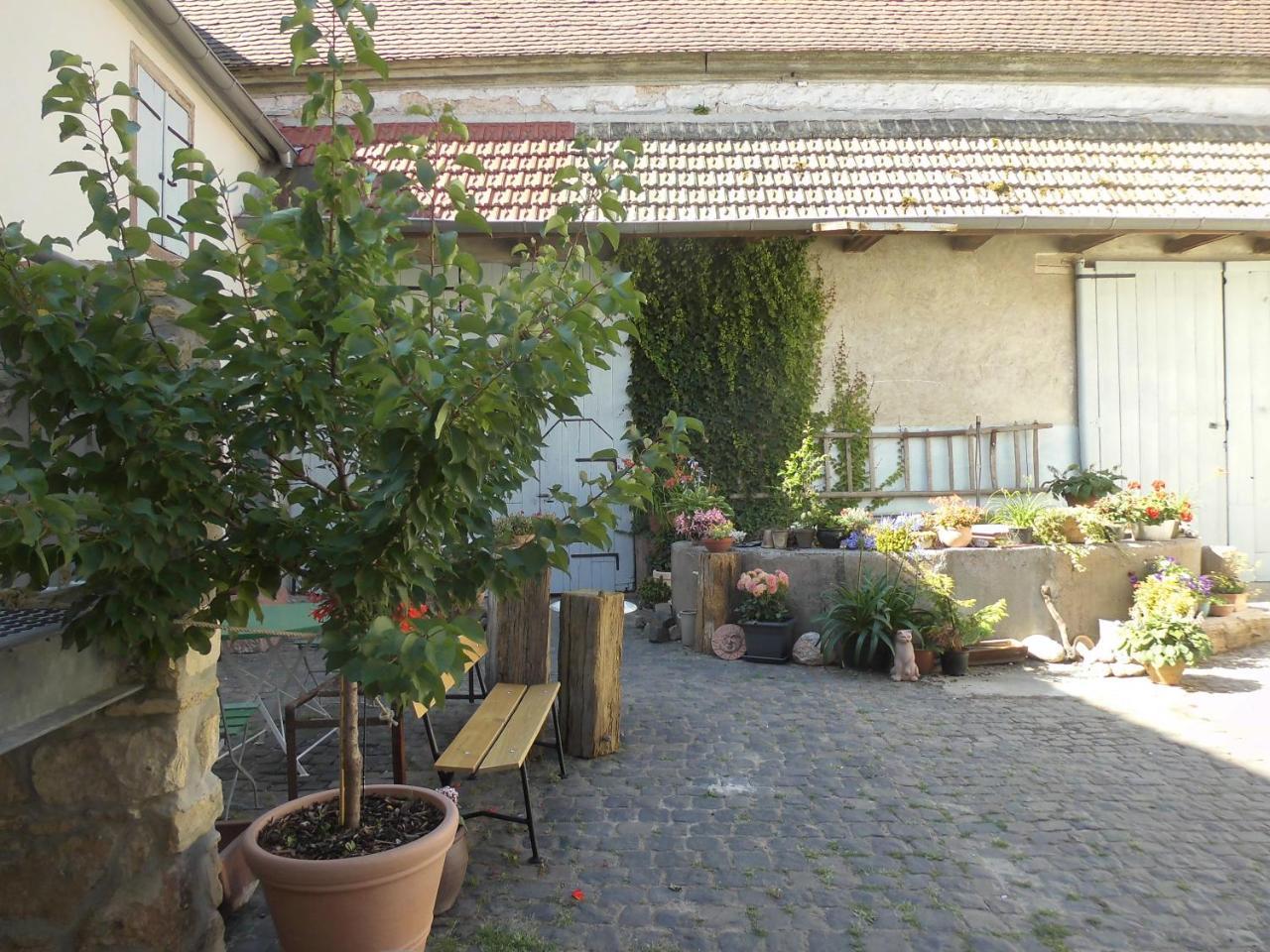 Gaestezimmer Mittelgasse Florsheim-Dalsheim エクステリア 写真