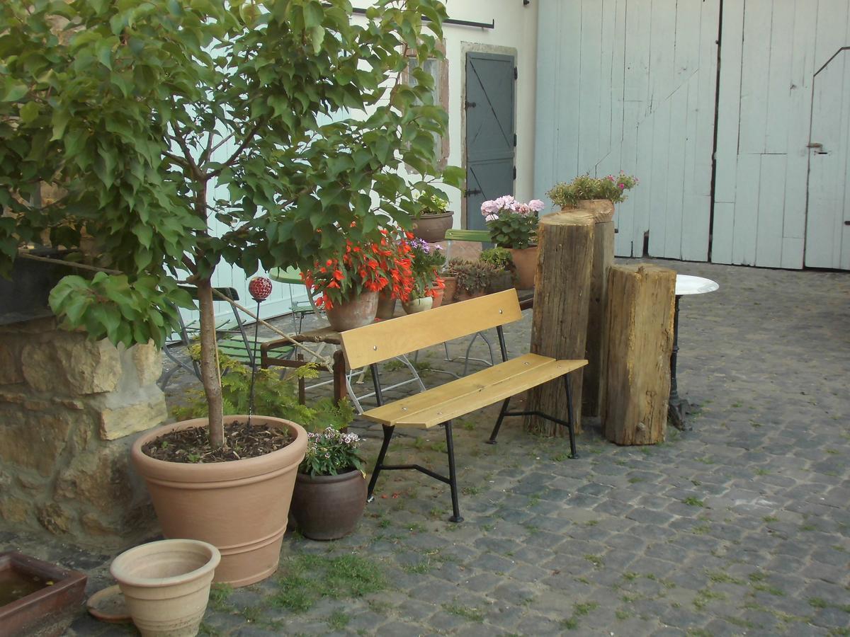 Gaestezimmer Mittelgasse Florsheim-Dalsheim エクステリア 写真