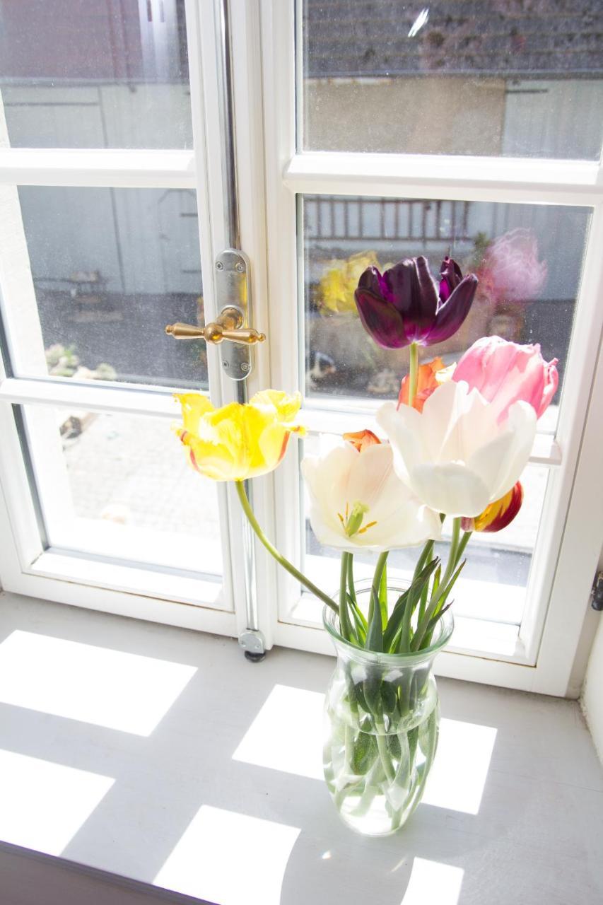 Gaestezimmer Mittelgasse Florsheim-Dalsheim エクステリア 写真